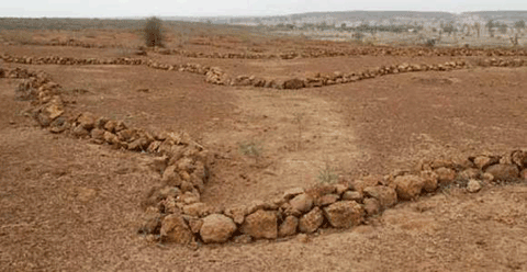 Project to o rehabilitate the highly eroded soils of the Kissane region, Senegal.